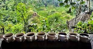 Ubud Tour + Rafting ( Tegalalang Rice Terraces, Coffee Plantation, Tegenungan Waterfall)